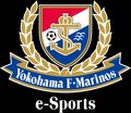 Team Yokohama F. Marinos Esports logo