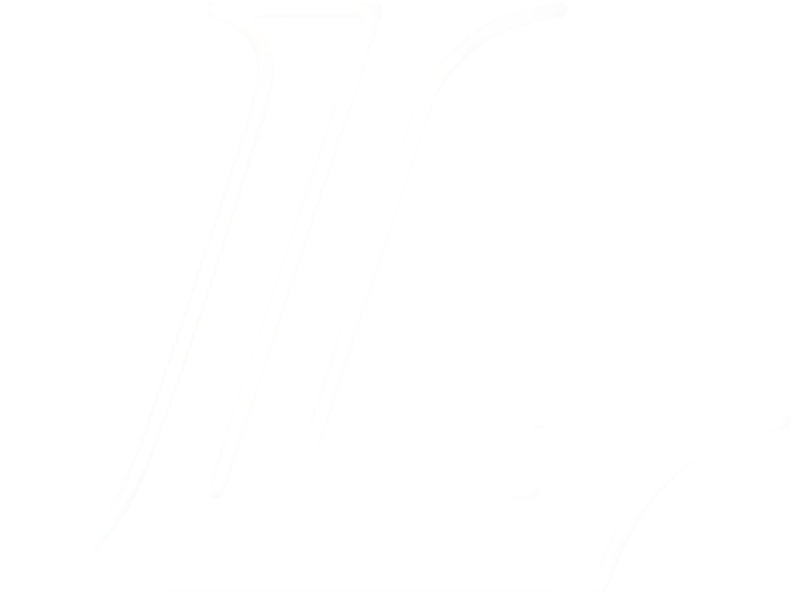 team Lokomotiv eSports logo