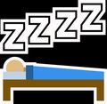 Team zzzz logo