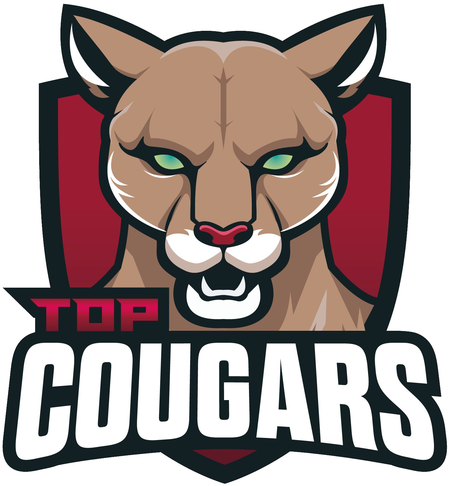 team Top Cougars logo