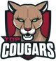 Top Cougars