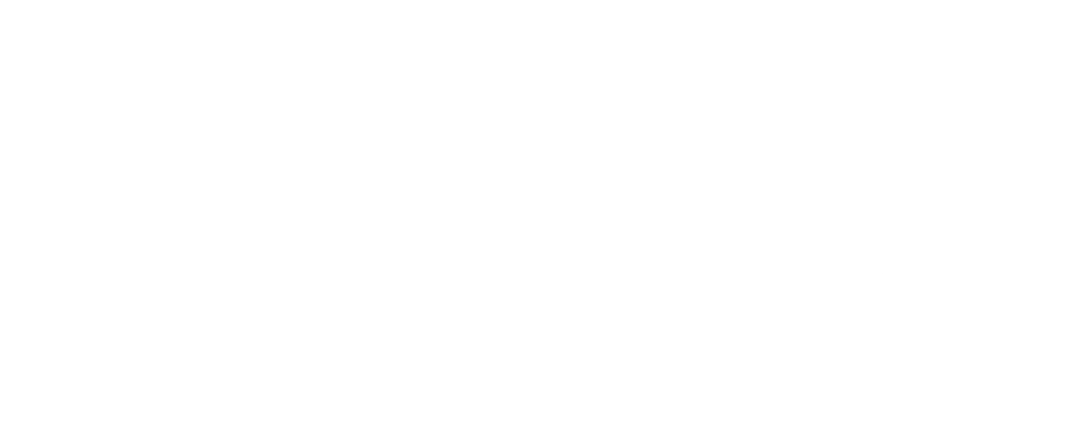 team The Bros logo