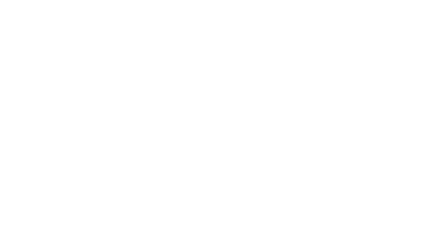 team Magnifico logo