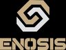 Enosis Esports