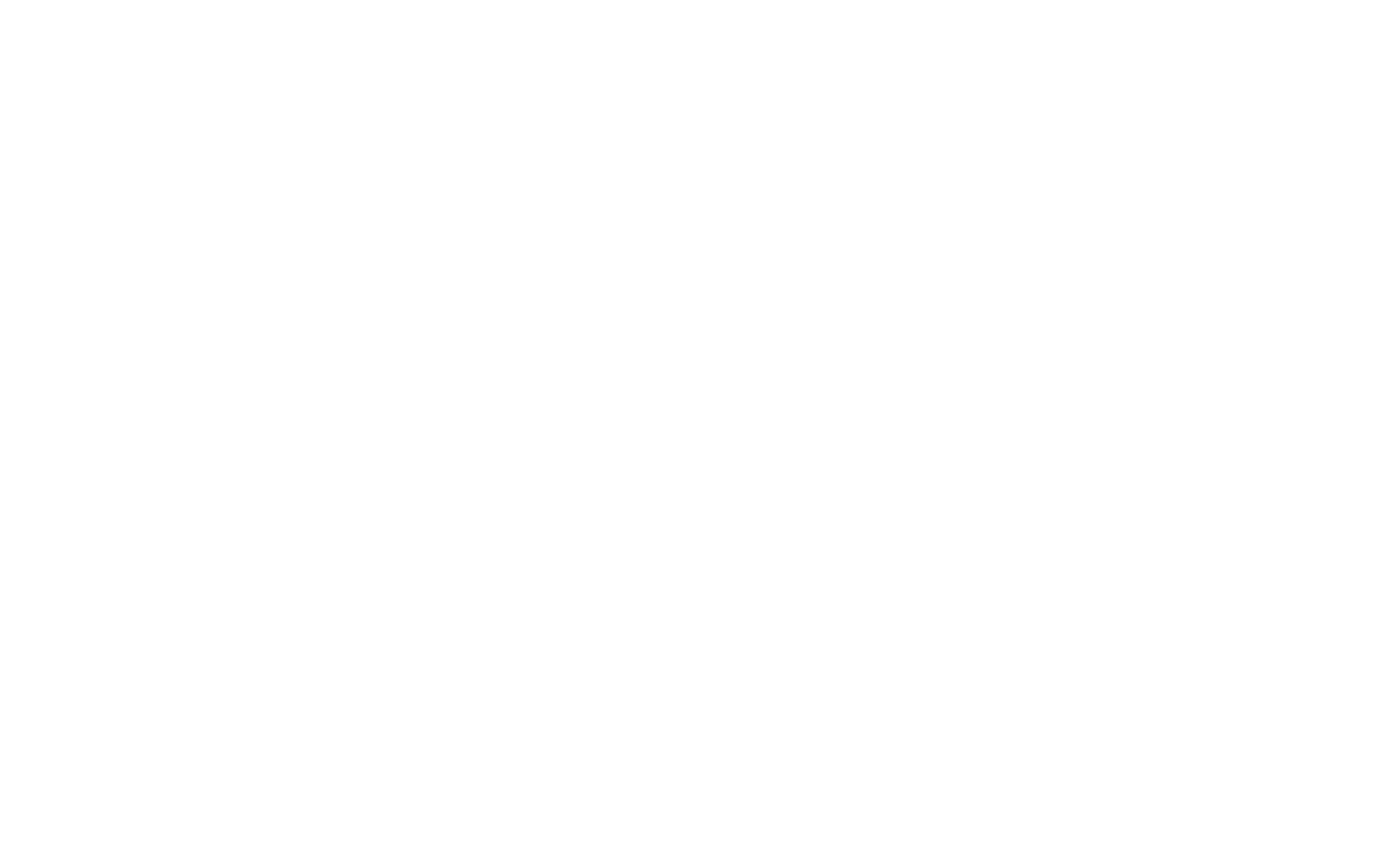 team Final Form logo