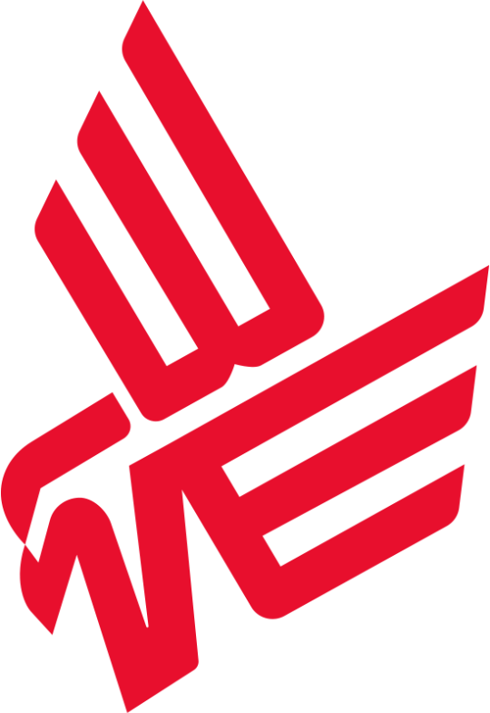 team Bad News Eagles logo