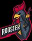 team Rooster logo