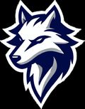 Team Wolves Gaming logo