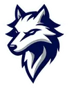 Wolves Gaming