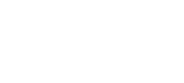 team Team Fusion logo
