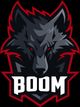 team BOOM Esports logo