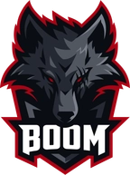 BOOM Esports